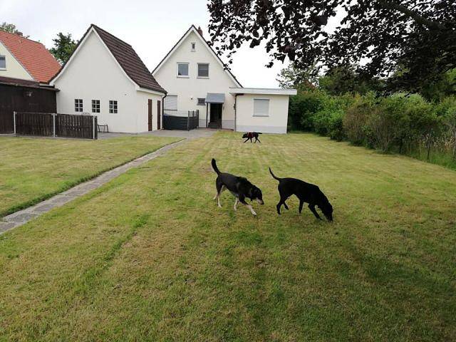 Ferienhaus für 5 Personen, mit Garten und Balkon, kinderfreundlich - 1
