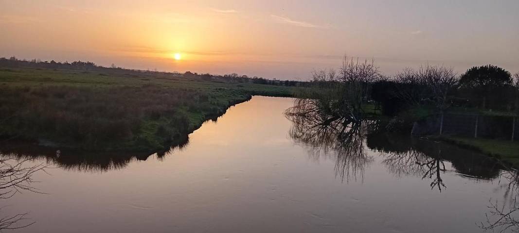 Chambre d’hôte pour 2 personnes, avec vue et jardin à Saint-Jean-de-Monts - 2