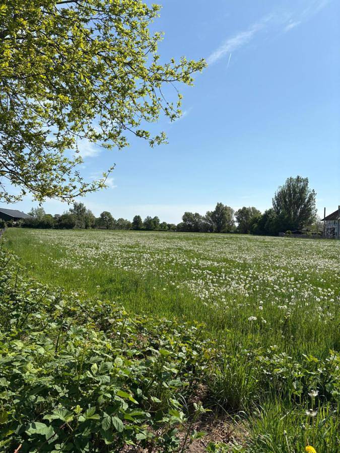 B&B de Plattelandshoeve in Rhenen, Provincie Utrecht