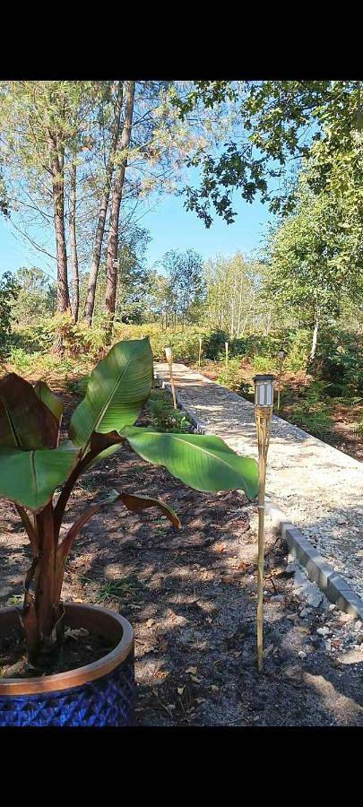 Location de vacances pour 2 personnes, avec piscine ainsi que jardin et terrasse à Moulis-en-Médoc - 3