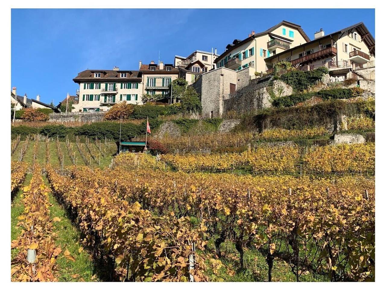 La Vigneronne, Garden in Montreux, Genfer See
