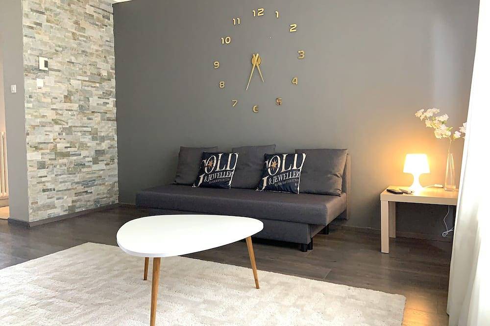 Apartamento entero, Heart of Metz, 2 rooms free parking wifi 75m² \"Le Saint Bernard in Metz, Metz-Campagne