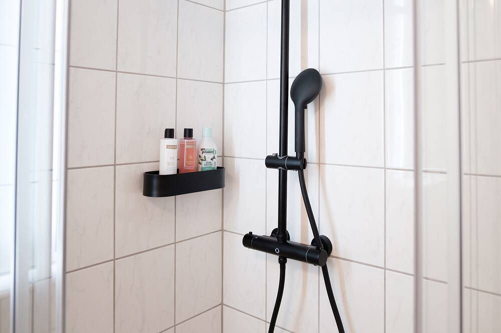 Ganze Wohnung, Neues Design-Apartment in historischer Altstadt in Bad Säckingen, Südschwarzwald