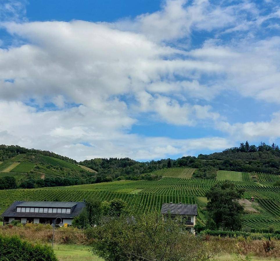 Ganze Wohnung, Fewo's Weinbergblick Wintrich by Brauneberger Hof an der Mosel in Wintrich, Bernkastel-Kues & Umgebung