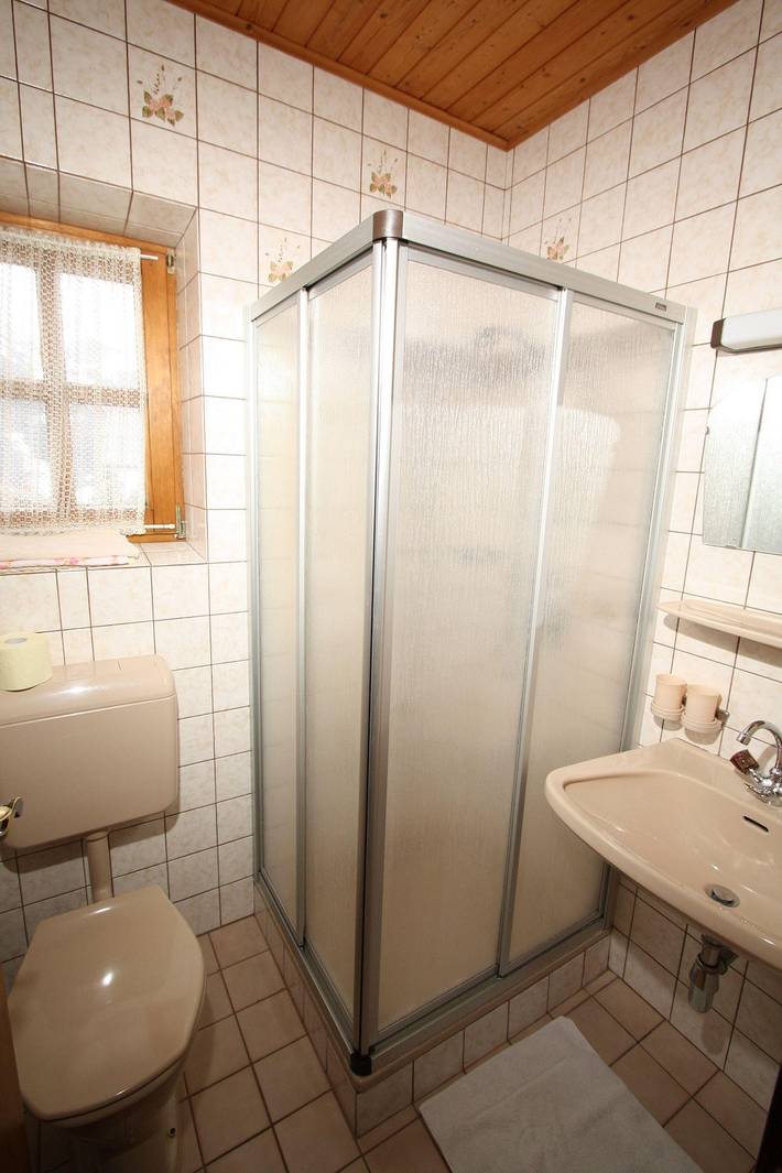 Ferienwohnung für 3 Personen, mit Garten und Balkon, kinderfreundlich in Großarl - 2