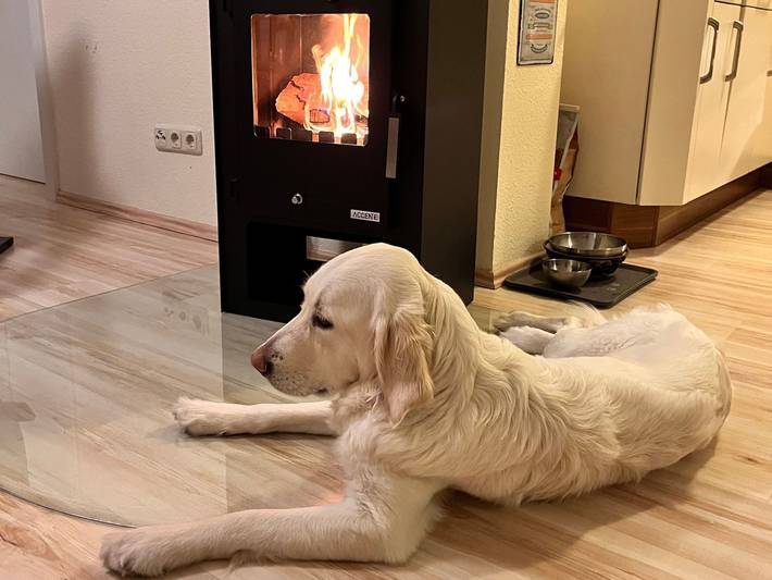 Ferienwohnung für 5 Personen, mit Balkon, mit Haustier in Graal-Müritz - 3