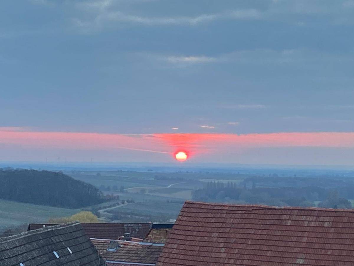 Atelier de Pfalz-Loftstyl mit Pfalzblick in Gleiszellen-Gleishorbach, Südliche Weinstraße
