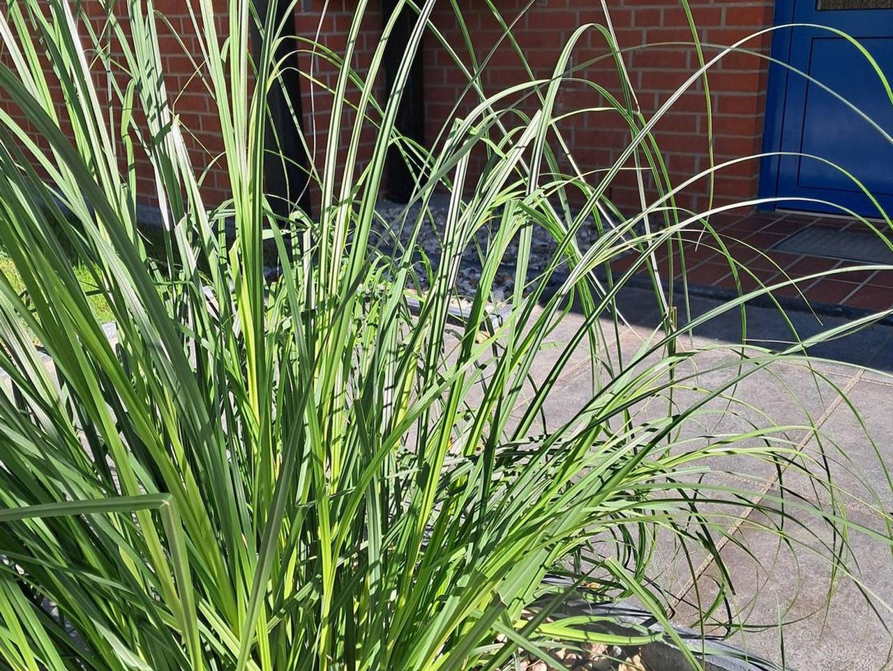 Ganze Ferienwohnung, Meer Auszeit - 7003 - "Domicil" - An der Aue 5 - Wohnung 7 in Dahme, Ostholstein