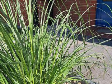 Ferienwohnung für 6 Personen in Dahme, Südliche Ostseeküste, Bild 1