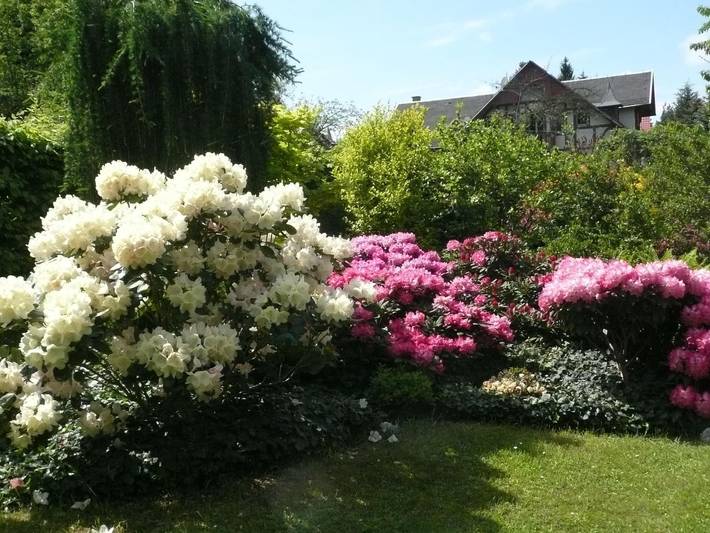 Ferienwohnung für 5 Personen, mit Terrasse in Gohrisch - 3