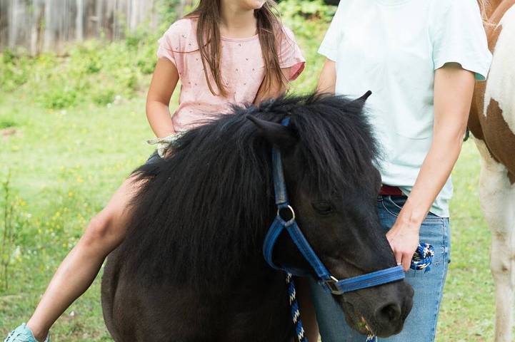 Bauernhof für 4 Personen, mit Pool und Garten sowie Balkon und Sauna in Hohenlohe