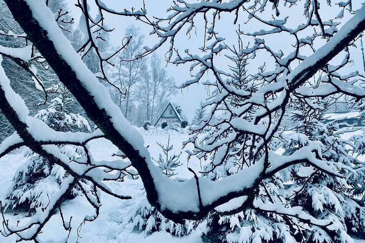 Ferienhaus für 4 Personen, mit Balkon, mit Haustier in Klingenthal - 4