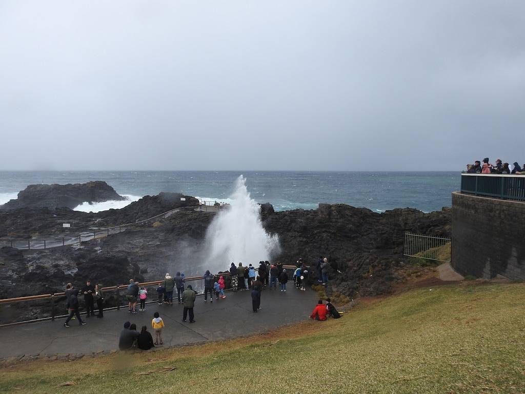 Ganze Wohnung, Beach Retreat @ Kiama .. in Illawarra, New South Wales