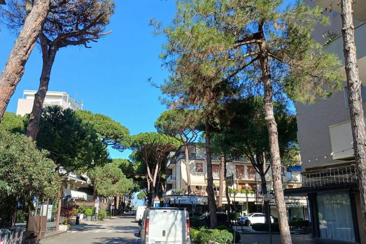 Appartamento vacanze per 6 persone, con Balcone/Terrazza a Milano Marittima
