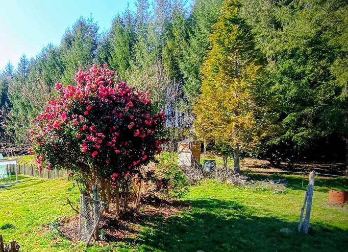 Location de vacances pour 6 personnes, avec jardin et vue à Compreignac - 3