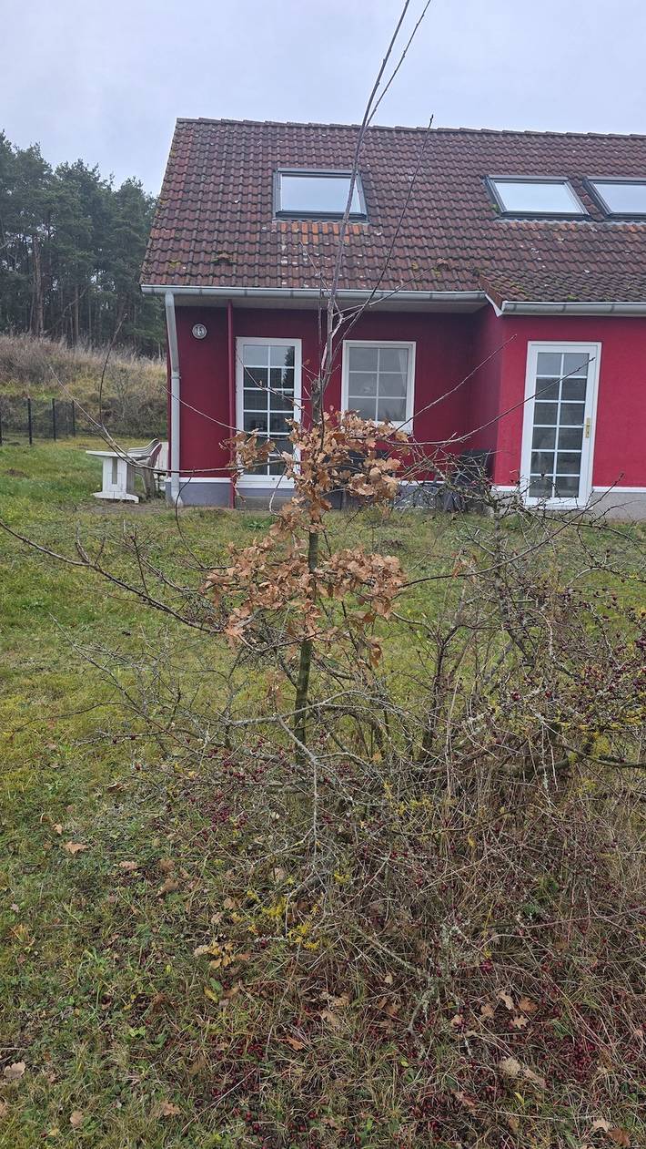 Ferienhaus für 5 Personen, mit Terrasse und Garten, mit Haustier in Lütow - 2