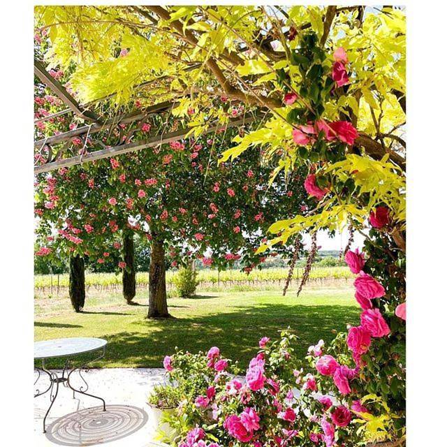 Location de vacances pour 7 personnes, avec jardin ainsi que piscine et vue à La Tour-d'Aigues - 3