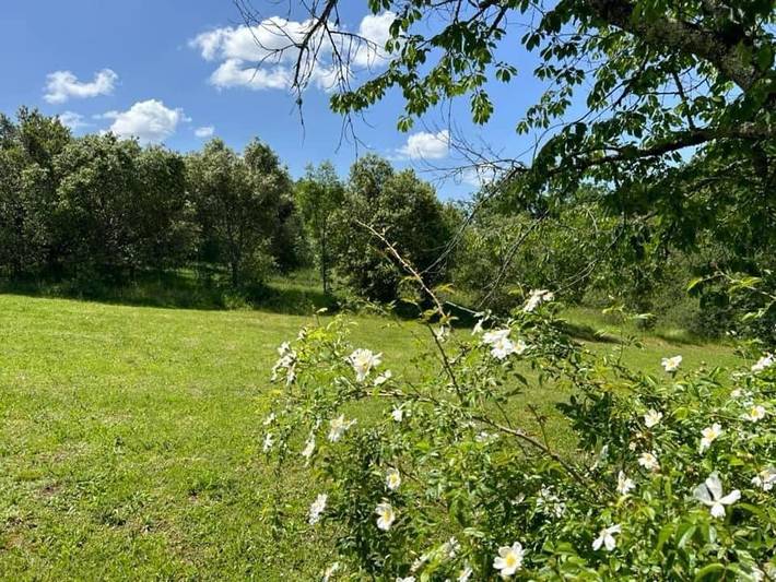 Location de vacances pour 5 personnes, avec piscine ainsi que terrasse et jacuzzi à Anthé - 4