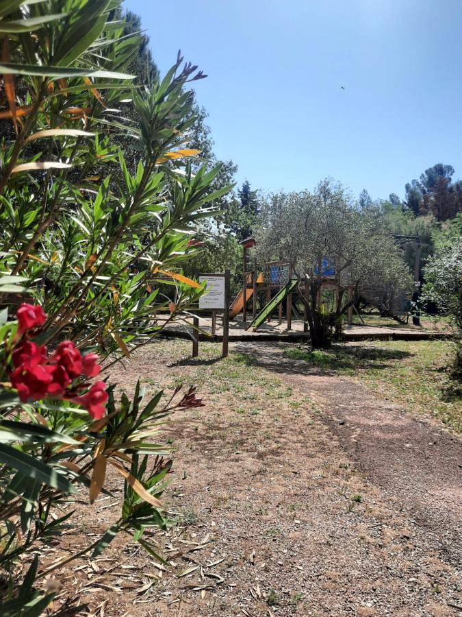 Location de vacances pour 4 personnes, avec vue ainsi que piscine et jardin, adapté aux familles à Bosc - 4