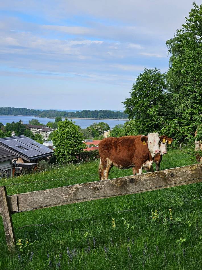 Ganze Ferienwohnung, Ferienwohnung Pitsch-Steinfurth - Ferienwohnung für 4 Personen mit 1 Schlafz. und 1 Kinderz. mit Stockbett, Terrasse, 50qm in Prien, Prien am Chiemsee