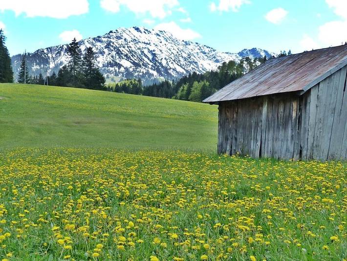 Ferienhaus für 3 Personen, mit Balkon und Terrasse sowie Garten und Sauna in Oy-Mittelberg - 4