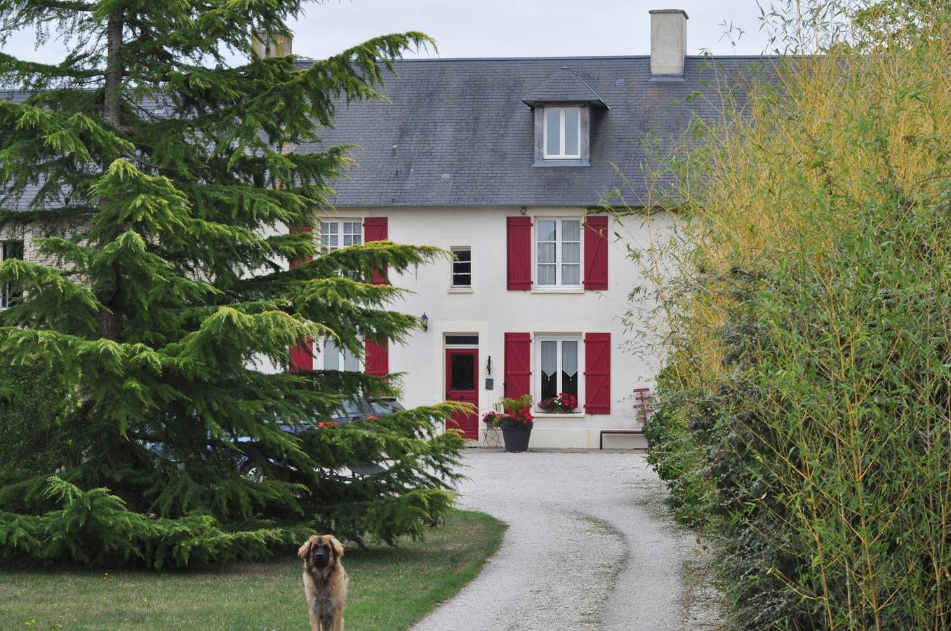 Ancienne Ferme Villeroy - Chambre normande in Cuverville, Région de Caen
