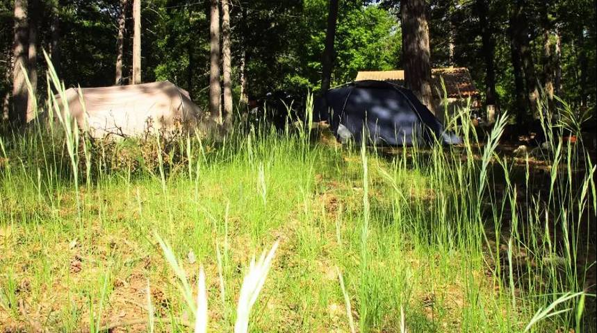 Camping für 4 Personen, mit Pool und Terrasse in Vaucluse - 3