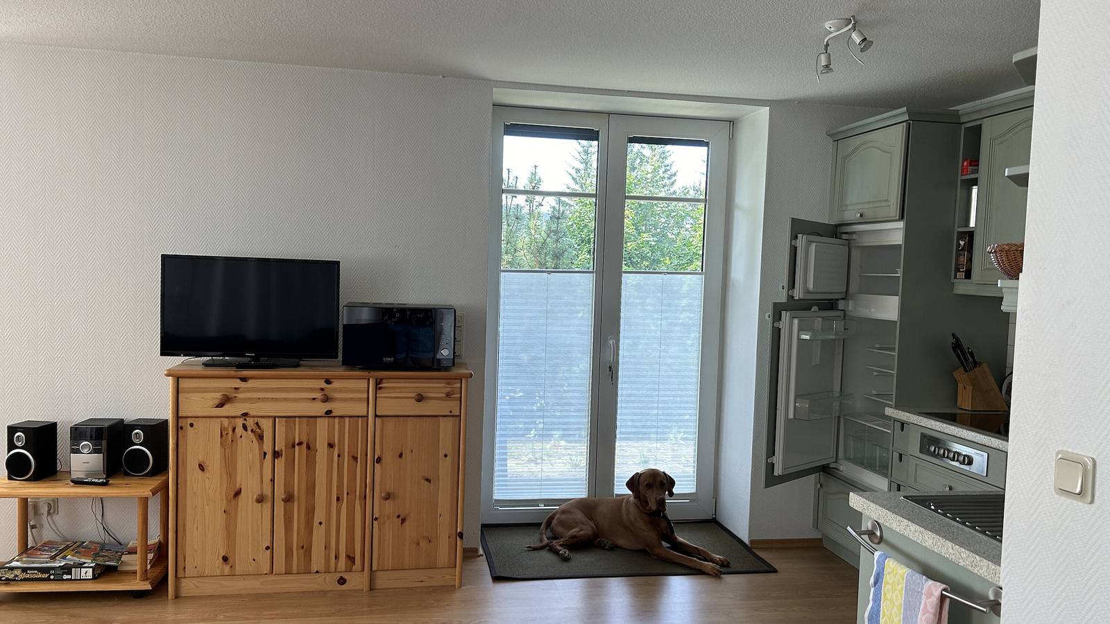 Ganzes Studio, Einzimmerapartment 'Wohnung 1' mit privater Terrasse und Wi-Fi in Oberhof, Rennsteig