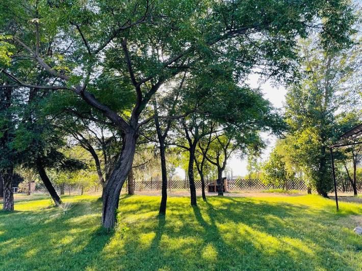 Bungalow para 8 personas, con Terraza además de Jardín y Piscina en Parque Nacional de Cabañeros - 3
