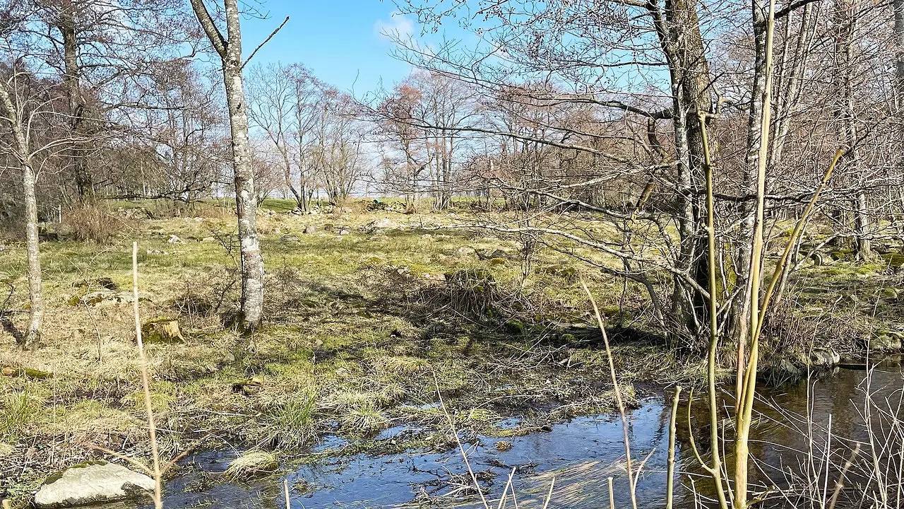 Ferienhaus für 5 Personen (70 m²) in Vollsjö in Sjöbo und Umgebung