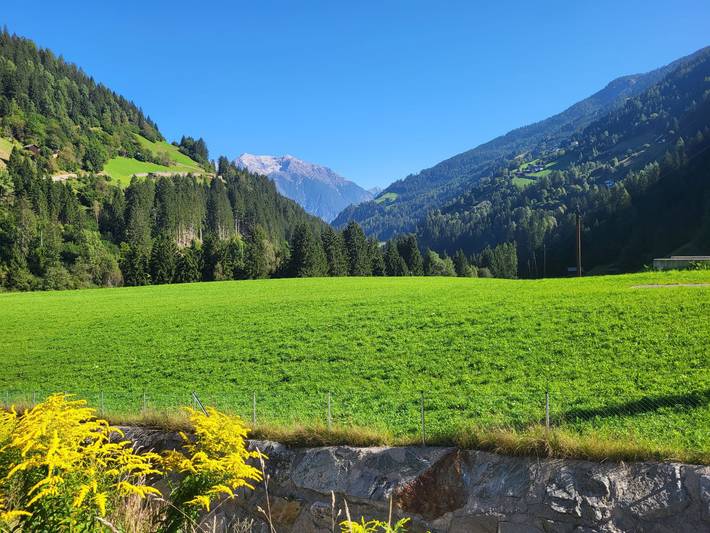 Ferienwohnung für 4 Personen, mit Garten und Terrasse, mit Haustier in See - 2