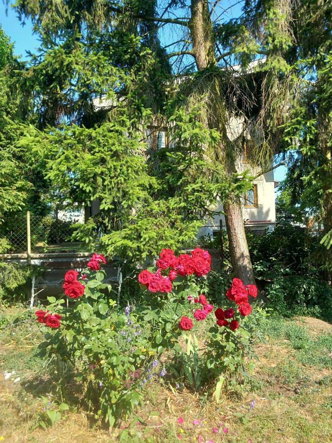 Location de vacances pour 5 personnes, avec terrasse ainsi que piscine et vue, animaux acceptés à Plzeň - 3