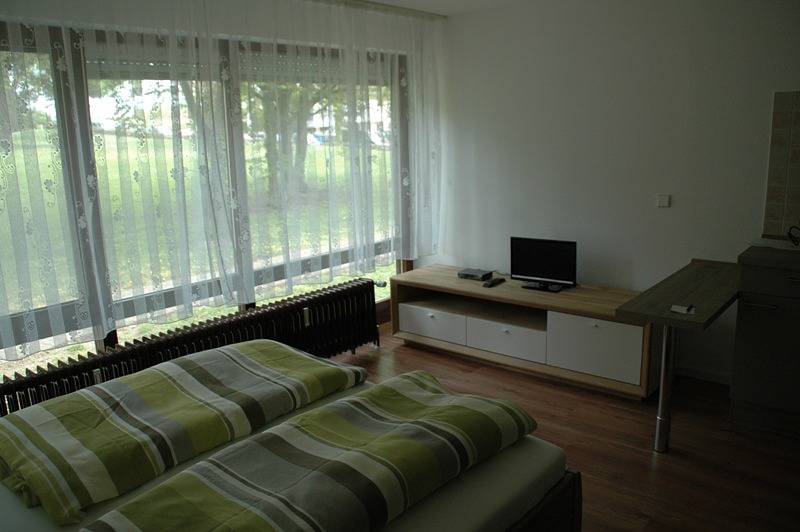 Ganze Ferienwohnung, Ferienwohnungen Fetscher - 1-Zimmer-Fewo 2, Parterre, 24 m² in Reichenau, Untersee