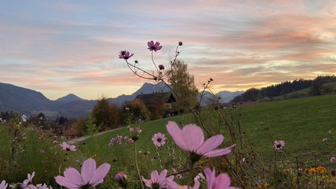 Ferienhaus für 4 Personen (60 m²) in Samerberg in Samerberg, Bayerische Alpen