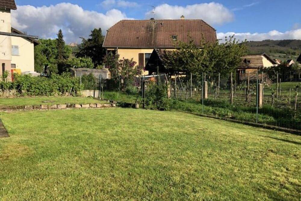 Gîte Location à Ribeauvillé 5 Personnes in Ribeauvillé, Parc naturel régional des Ballons des Vosges