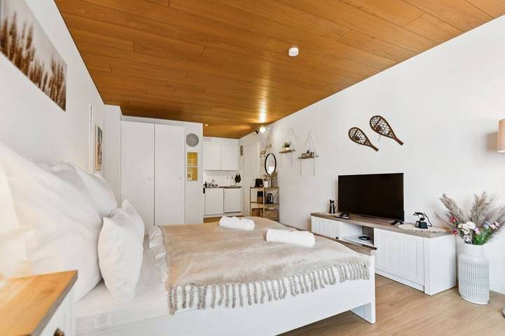 Entire apartment, Lake View Studio in Unterschönenbuch, Ingenbohl