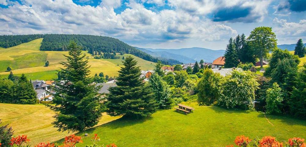 Maison d’hôte pour 2 personnes, avec terrasse ainsi que jardin et vue à Todtnau - 3