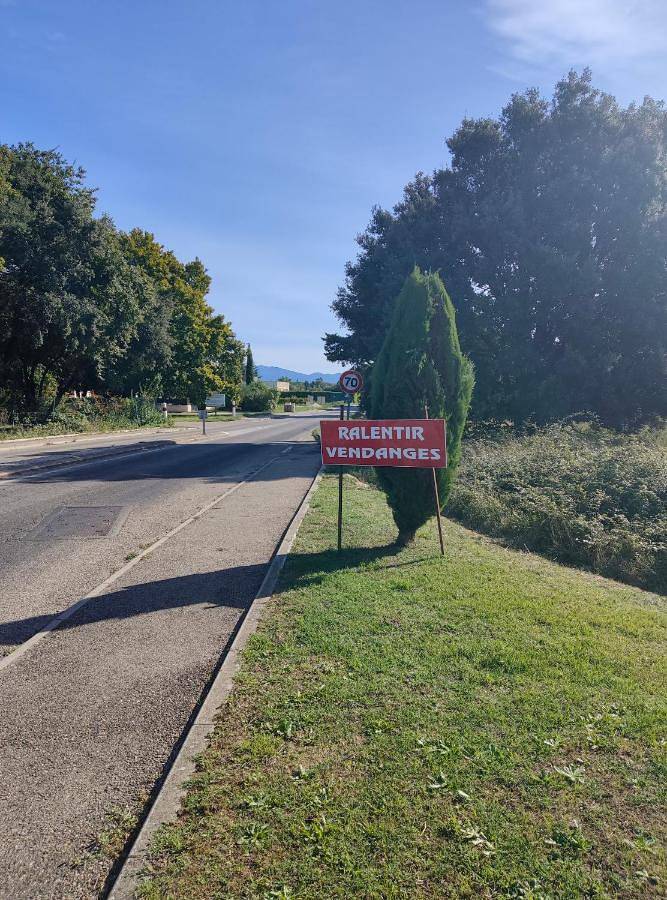Location de vacances pour 8 personnes, avec jardin et piscine, adapté aux familles à Richerenches - 4