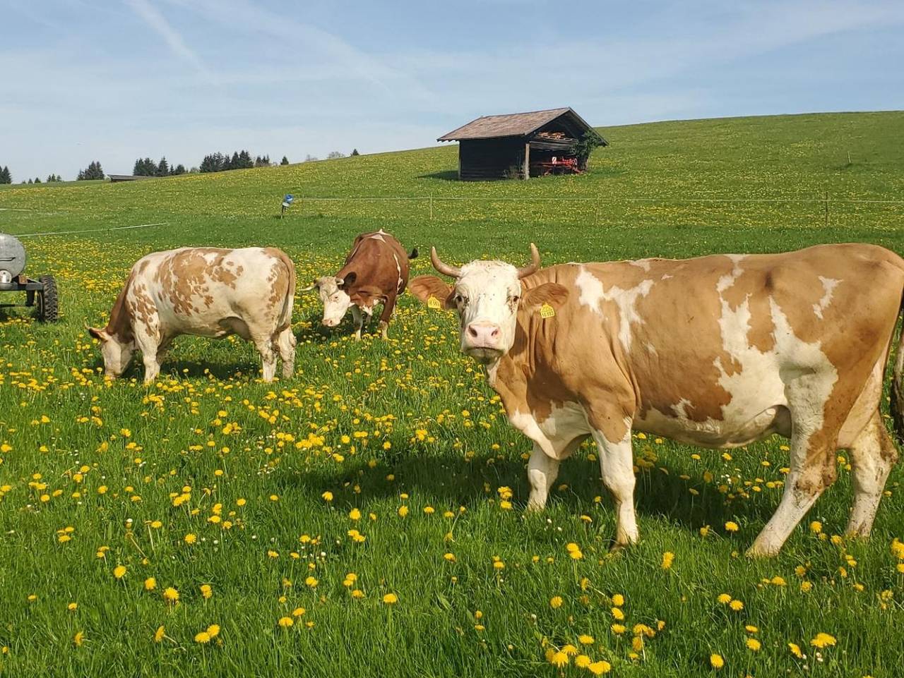 Ganze Ferienwohnung, Biohof Dimper - Ferienwohnung 2 in Saulgrub, Bayerische Alpen