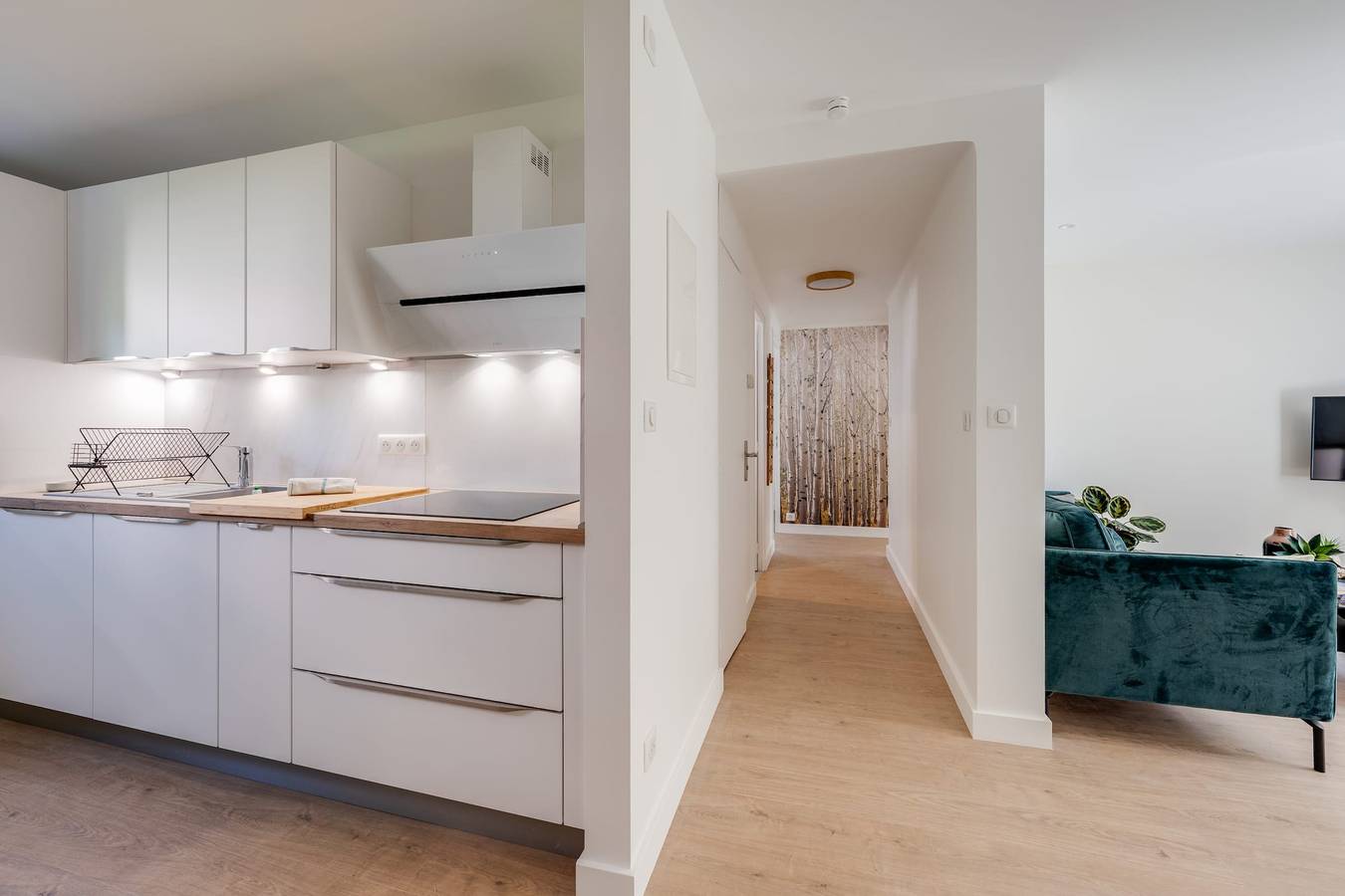 Entire apartment, L'Annexe du 43 - Beautiful T3 for 4 people with balcony in Annecy, Annecy (commune)