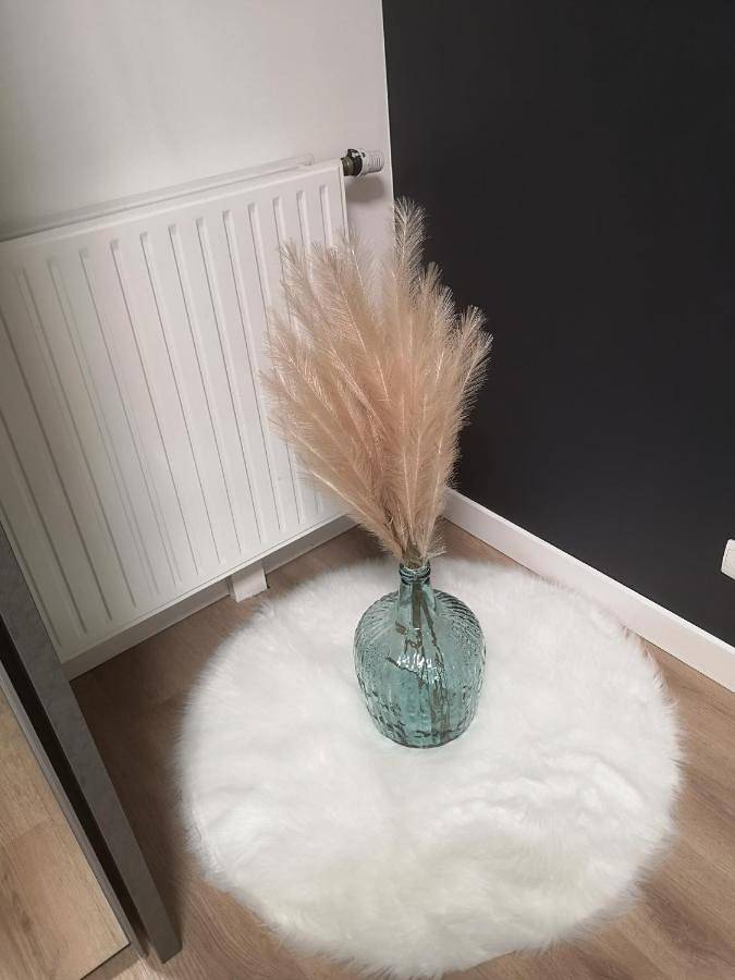Appartement entier, One-Bedroom Apartment in Orly (Île de France), Val-de-Marne