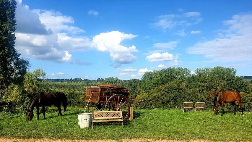 Location de vacances pour 10 personnes, avec jardin et vue à Cambremer - 4