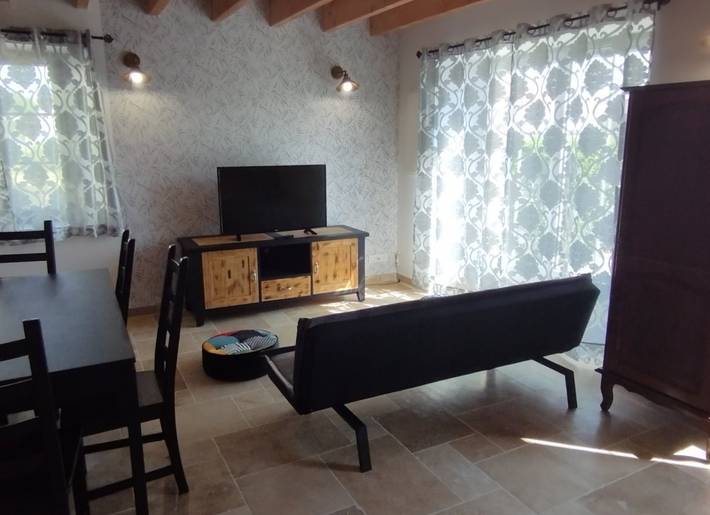 Gîte pour 7 personnes, avec terrasse et jardin à Vienne (France) - 3