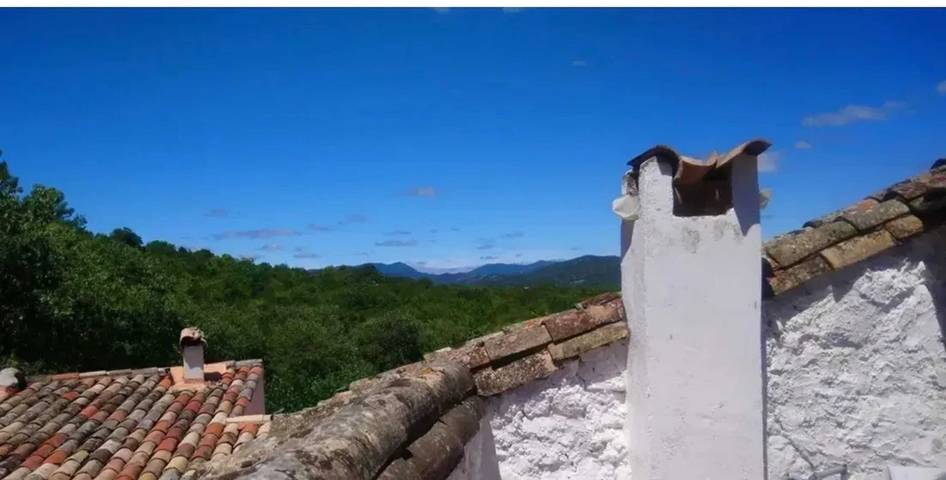 Gîte pour 5 personnes, avec jardin et terrasse à Sauve - 4