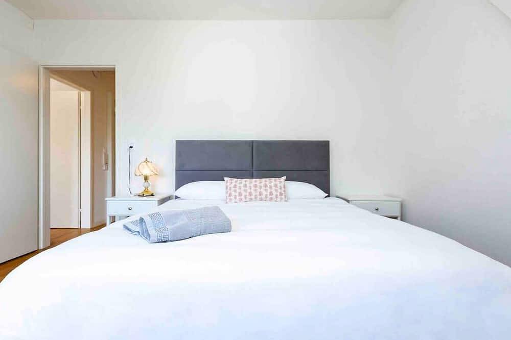Entire apartment, Guest Fave Downtown 2-Br Loft Apartment 5B in Zurich, Zurich district