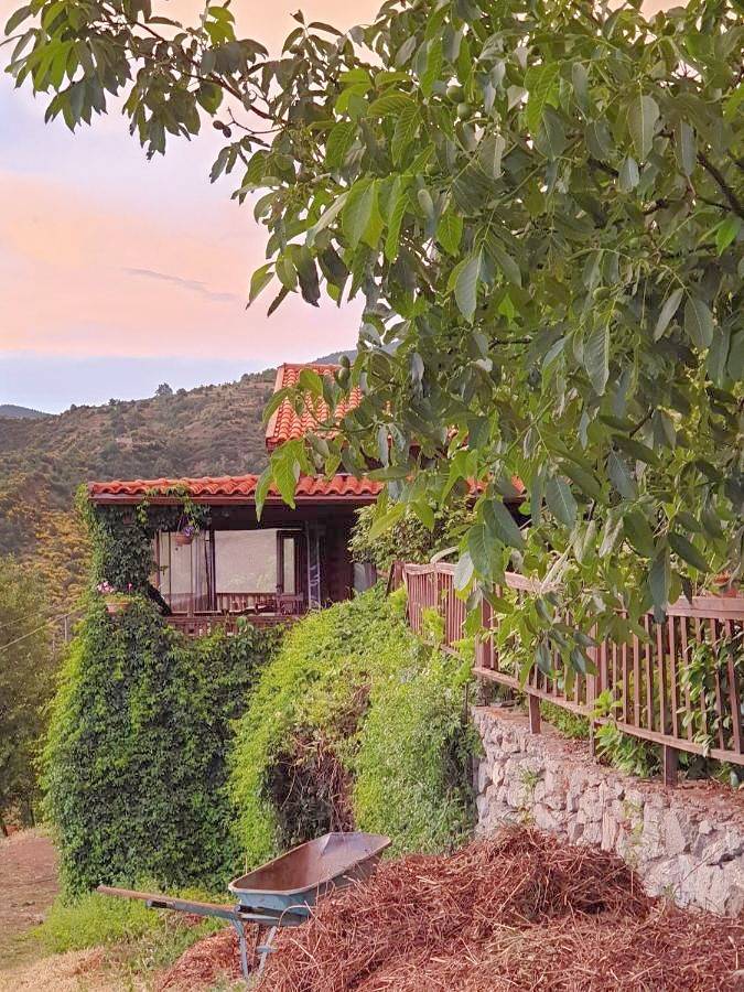 Alagonia Country Homes in Kalamata, Messenia