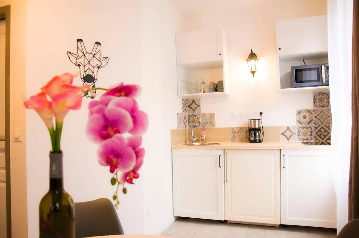 Appartement entier, One-Bedroom Apartment in Saint-Aignan, Région de Romorantin-Lanthenay