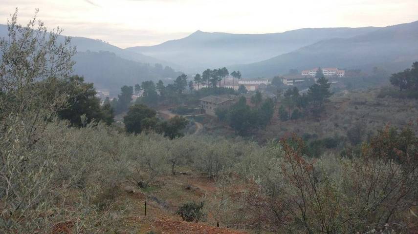 Casa rural para 3 personas, con Terraza además de Jardín y Vistas en Las Hurdes - 3
