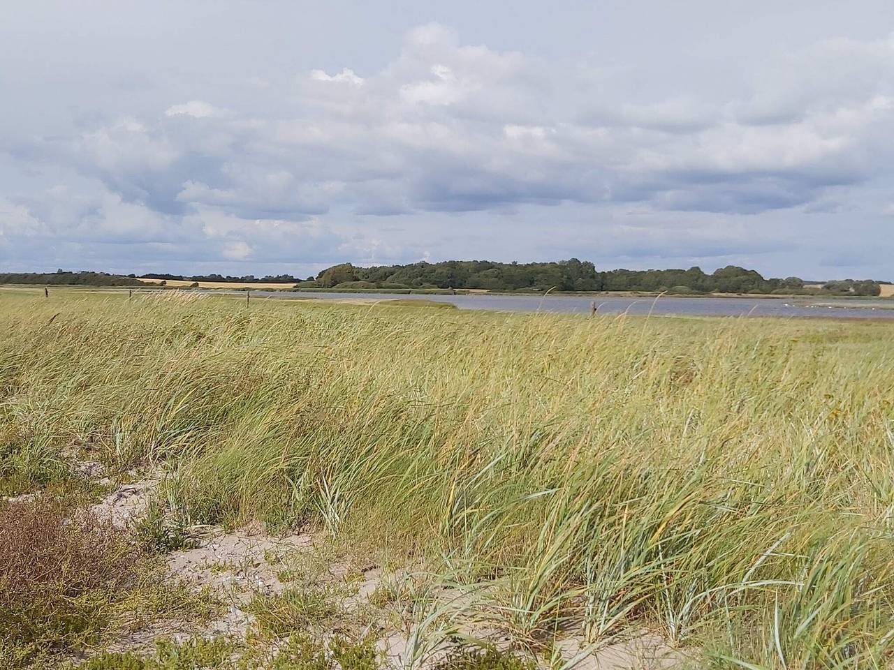 Luksuriost strataekt tilflugtssted in Assens, Lillebælt