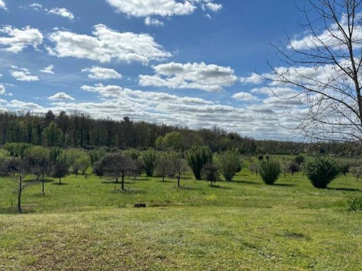 Gîte pour 2 personnes, avec vue et piscine ainsi que jardin et terrasse à Gabillou - 4